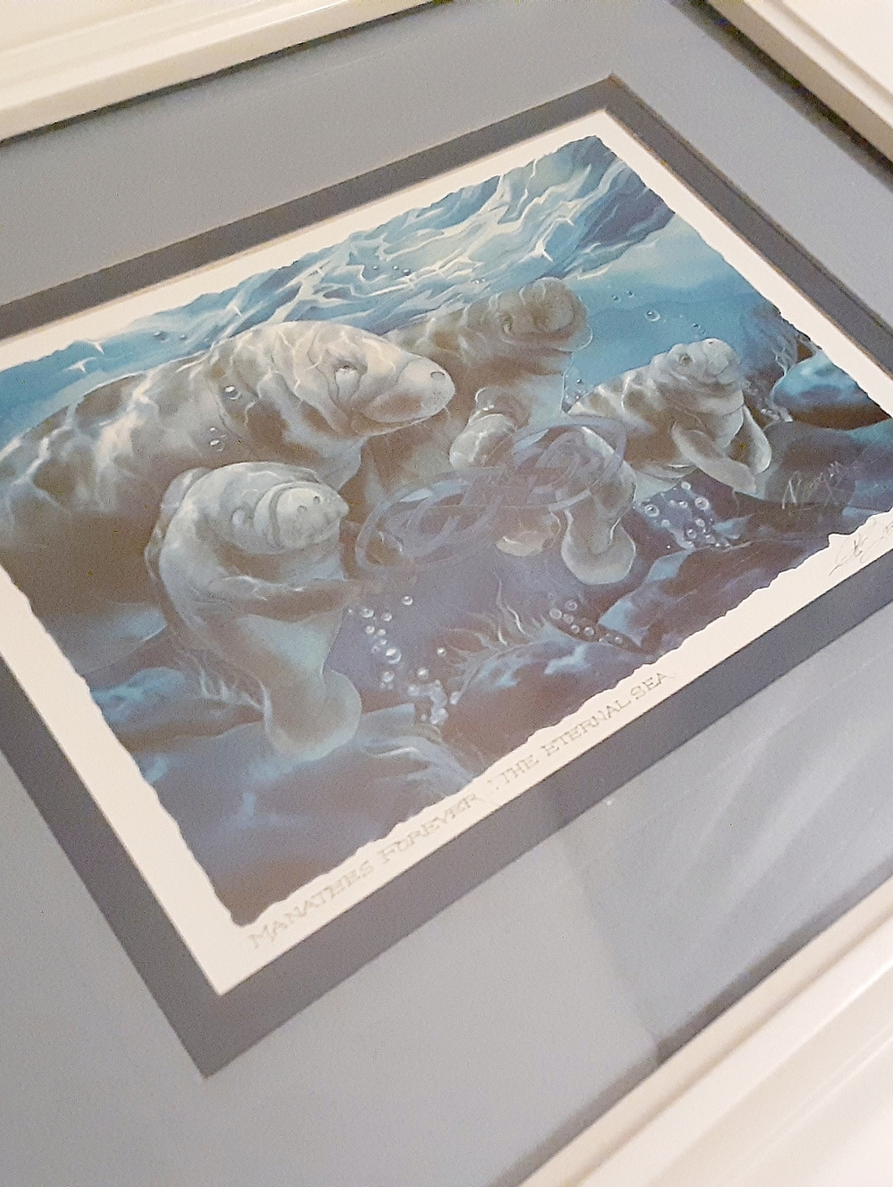 Manatee Forever Framed Print Artwork